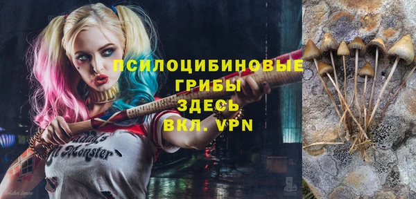 герыч Алзамай