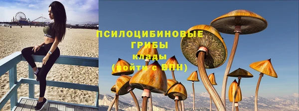 хмурый Рославль